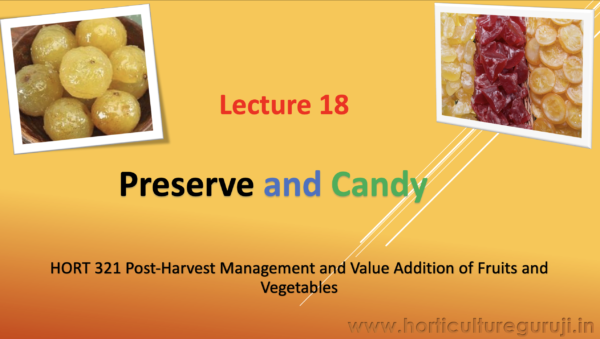 Preserve and Candy PPT